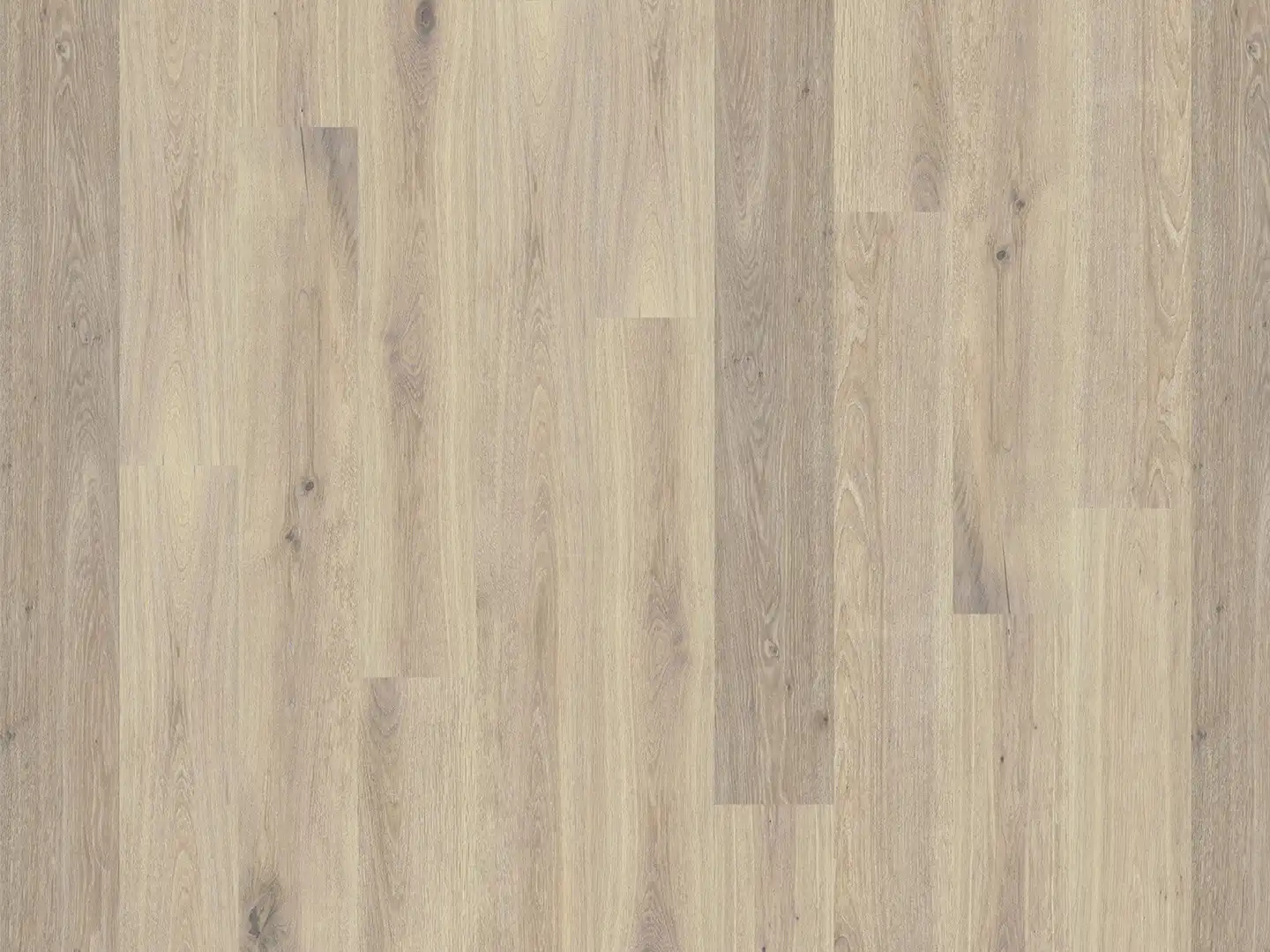 Duchateau Flooring Global Winds Collection